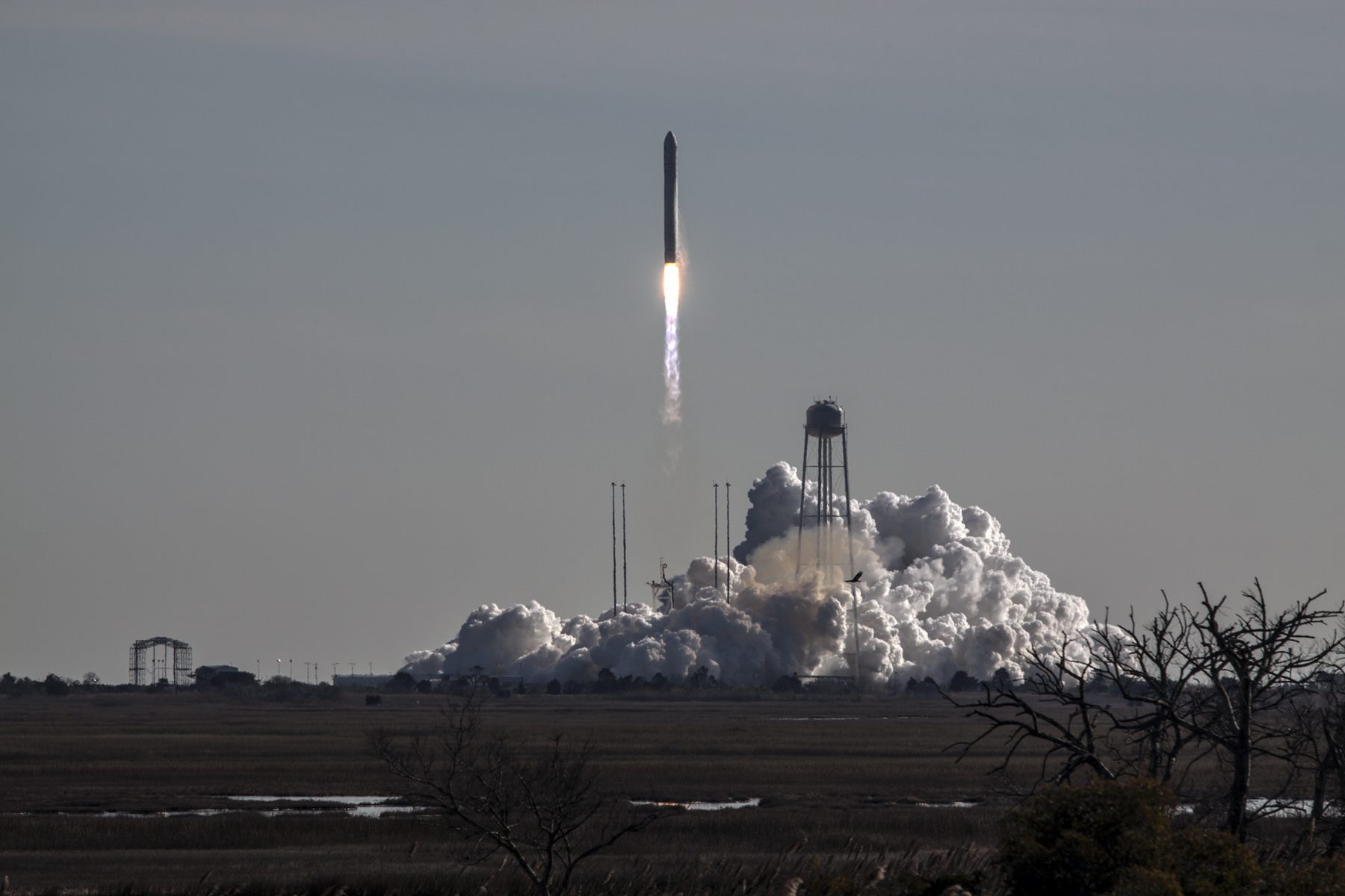 Antares rocket launch